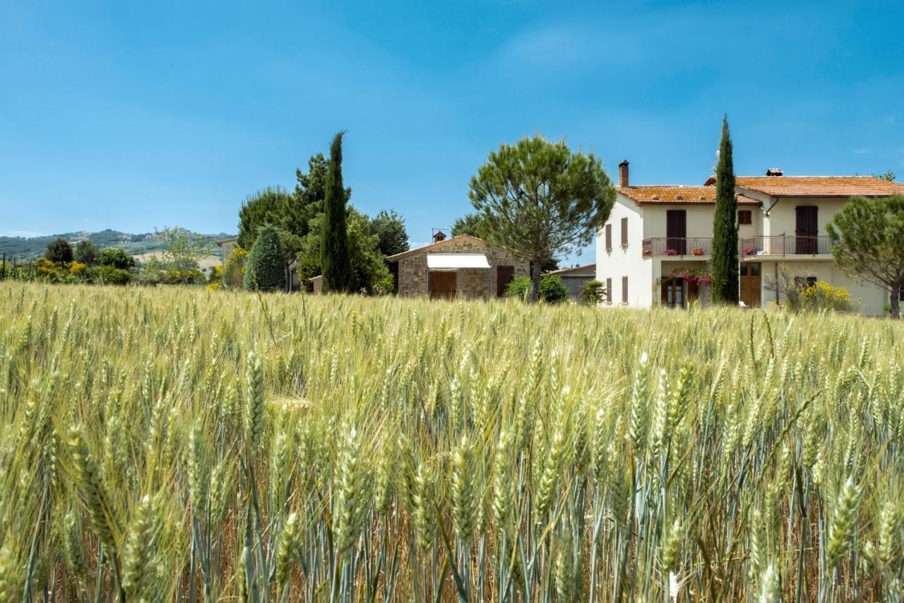 Agriturismo San Marcello Castiglione dʼOrcia Zewnętrze zdjęcie